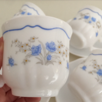 Arcopal kop en schotels